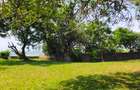 Land at Kikambala Beach - 15