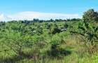 Land at Kwale - 8