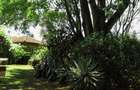 Land in Lavington - 19