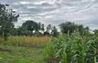 6 ac Land at Bomani - 9
