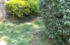 1 ac Land at Kilimani - 1