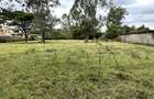 1 ac Residential Land in Karen - 1