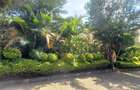 Commercial Land at Parklands - 14