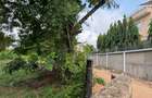 Land in Diani - 13