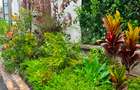 4 Bed Townhouse with En Suite in Kitisuru - 11