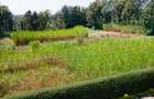 1 ac Land in Karen - 1