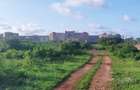 Land at Utalii - Vipingo - 17