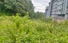 Land at Kirawa Road - 6