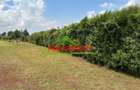 0.4 ha Land at Tilisi - 7