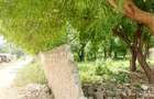 Land at Kilifi Town - 16