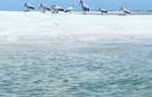 Land at Funzi Island. Limited Parcels Of Land For Sale On Funzi Island - 5
