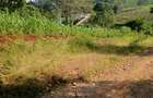 Land in Tigoni - 2