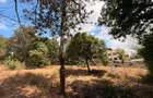 Land in Kiambu Road - 1