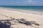 Land at Diani - 16