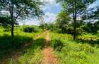 19 ac Land at Kenol-Makutano Highway - 13