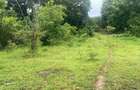 Land in Diani - 4