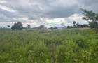 4 ac Land at Near Limblocks Factory - 2
