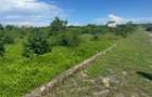 Land in Vipingo - 13