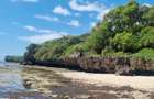 Land at Kuruwitu Beach Vipingo - 6