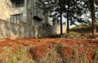 0.125 ac Residential Land at Runda - 1