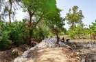0.125 ac Residential Land in Diani - 2