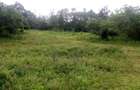 Land in Karen Hardy - 4