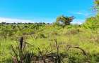 Land at Kwale - 2