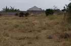 0.10 ac Residential Land at Kitengela Milimani - 8