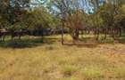 Land in Nyali Area - 6