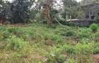 0.75 ac Land at Thindigua - 6