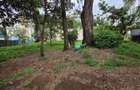 Land in Hurlingham - 4