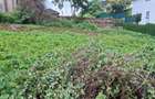 0.25 ac Land in Runda - 7