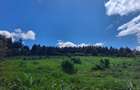 1 ac Land in Limuru Town - 1