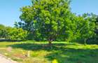 Land in Vipingo - 8