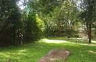 1.32 ac Residential Land in Riara Road - 6