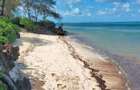 Land in Vipingo - 18
