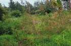 Land in Kilifi - 1