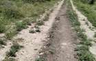 0.045 ac Residential Land at Kitengela Acacia - 8