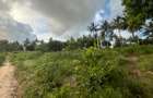 0.6 ac Land at Ls219 - 1