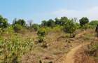 Land at Vipingo - 8