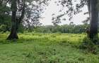 Land in Vipingo - 9