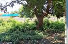 Land at Diani Beach Rd - 13