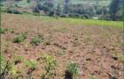 Land in Narok - 2