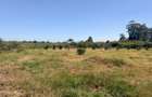 500 m² Land at Ruiru-Githunguri Road - 3