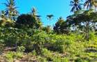 Land at Kwale - 7