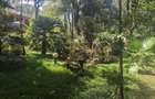 2 Bed House with En Suite in Karen - 15