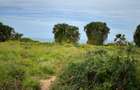 5.2 ac Land at Nyali Centre - 4