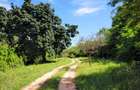 Land at Vipingo Kuruwitu Beach - 2