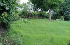 3 Bed Townhouse in Karen - 11