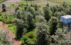 Land in Tatu City - 4